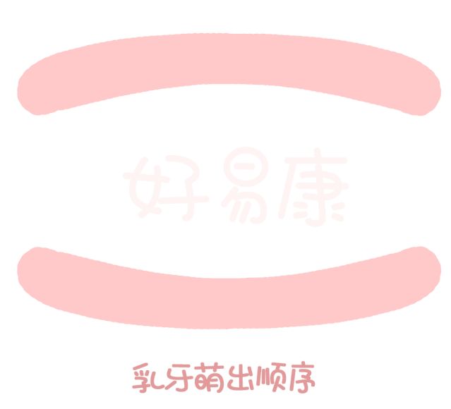 尚佳專業(yè)月嫂丨關(guān)于寶寶長(zhǎng)牙問(wèn)題，都在這里！